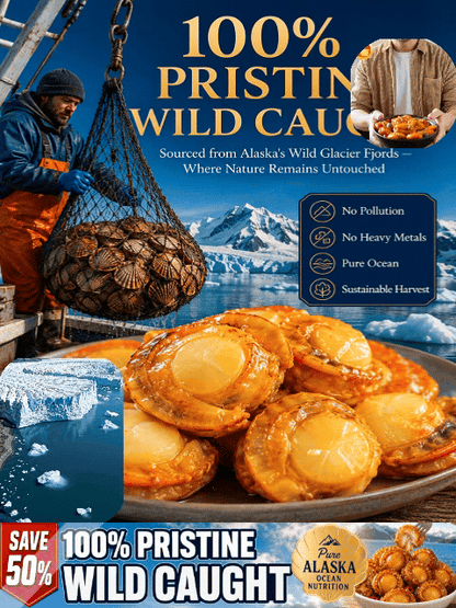 🦪 Packed With Real Scallop Meat，Tender, juicy, and bursting with authentic seafood flavor in every bite-JT4